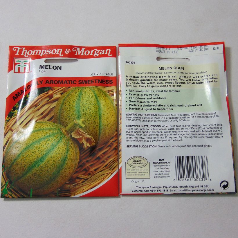 Exemple de spécimen de Melon Ogen le sachet de 15 graines environ tel que livré