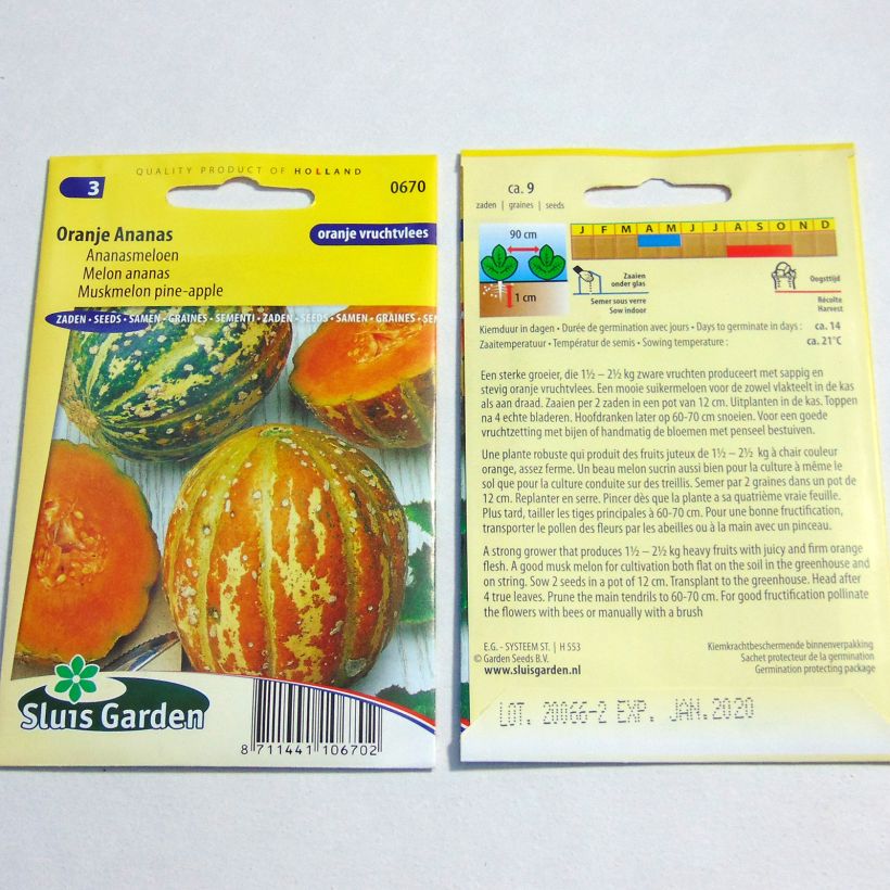 Exemple de spécimen de Melon Orange Ananas le sachet de 9 graines environ tel que livré
