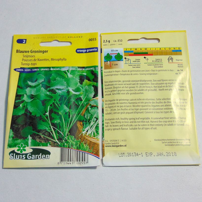 Exemple de spécimen de Mesophylla Blauwe Groninger le sachet de 850 graines environ (2g) tel que livré