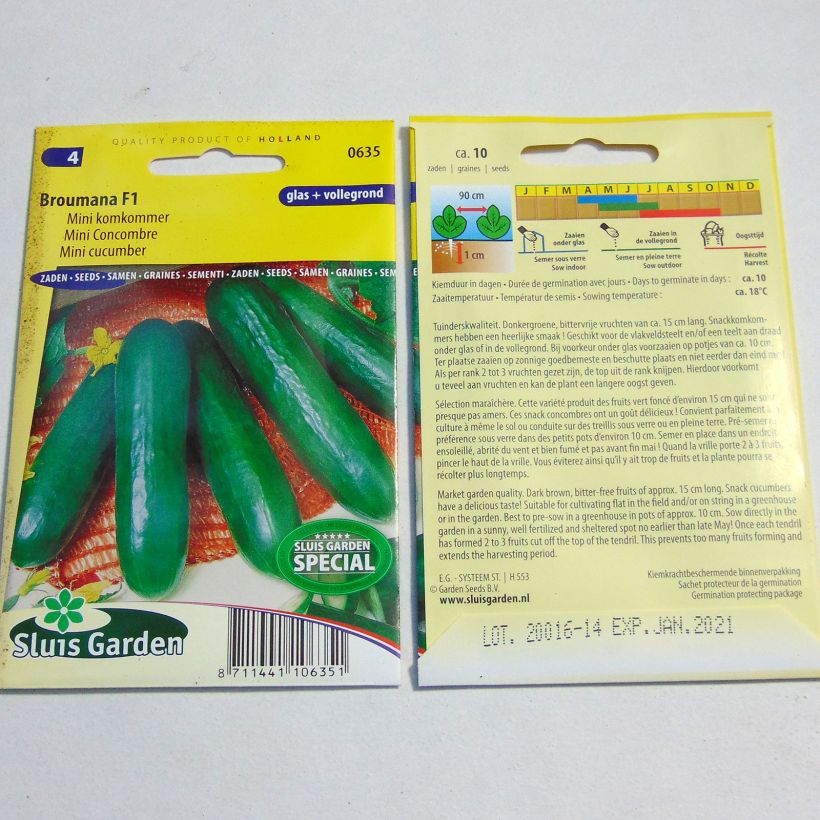 Exemple de spécimen de Mini Concombre Broumana F1 - Cucumis sativus le sachet de 10 graines environ tel que livré