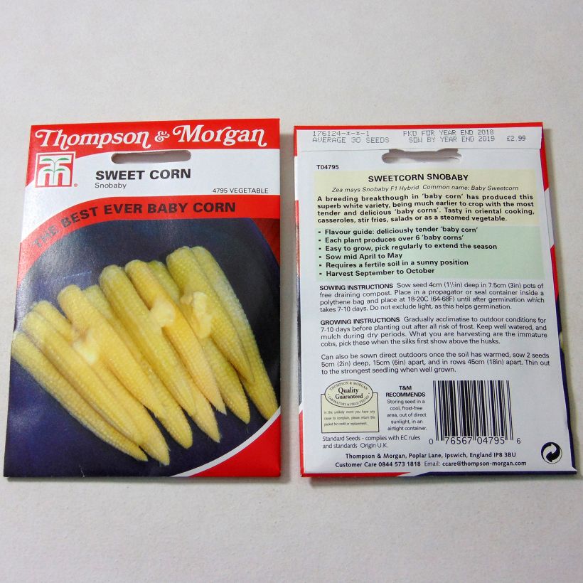 Example of Mini maïs doux sucré Snobaby - Zea mays le sachet de 30 graines environ as you get