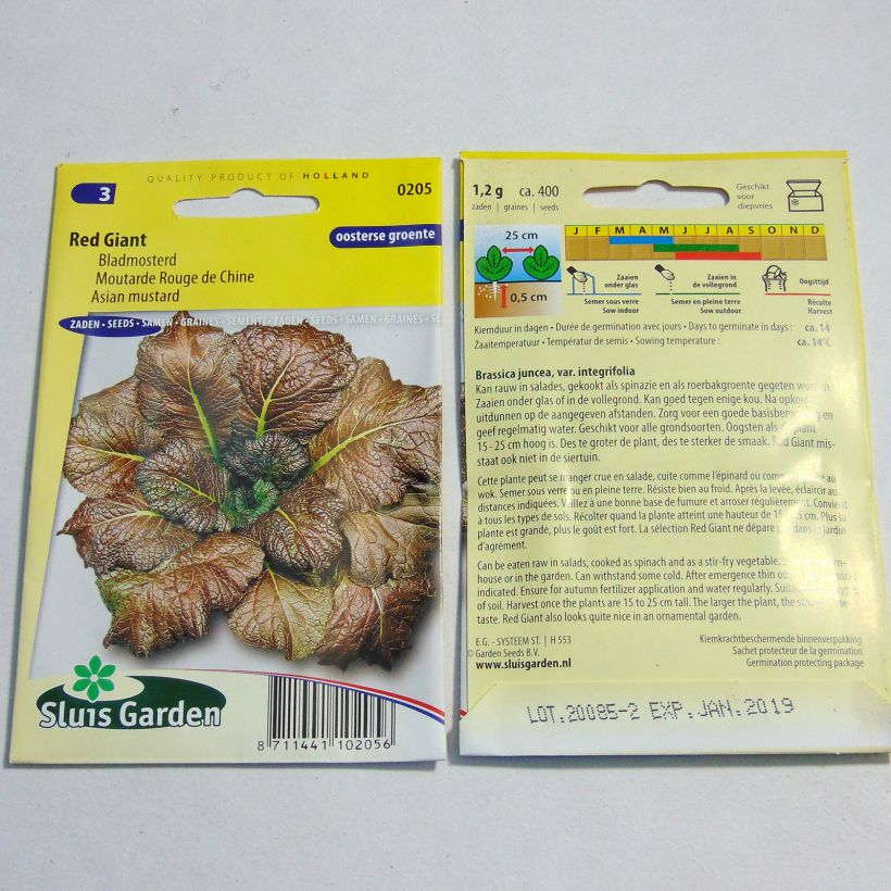 Exemple de spécimen de Moutarde Rouge de Chine Red Giant le sachet de 800 graines environ (2g) tel que livré