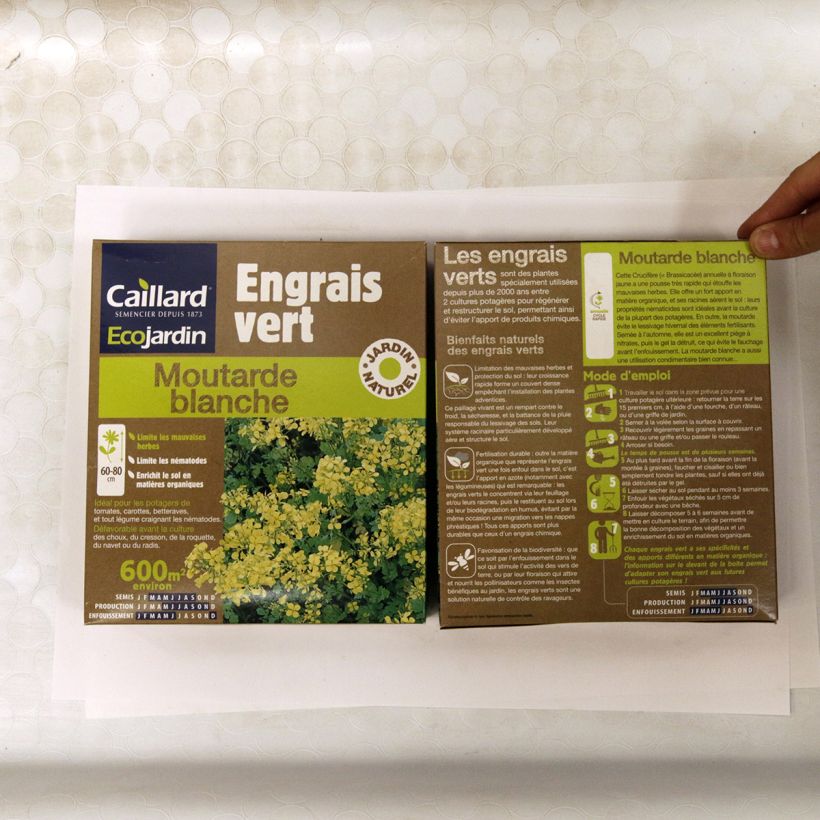 Exemple de spécimen de Moutarde blanche - Engrais vert - Boîte 600 m² Boîte 600 m² tel que livré
