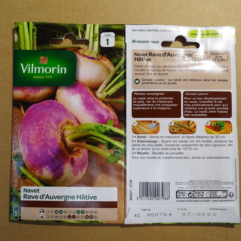 Exemple de spécimen de Navet Rave d'Auvergne Hâtif - Vilmorin le sachet de 1600 graines environ (4g) tel que livré