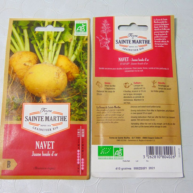 Exemple de spécimen de Navet jaune Boule d'Or Bio - Ferme de Sainte Marthe le sachet de 250 graines environ tel que livré
