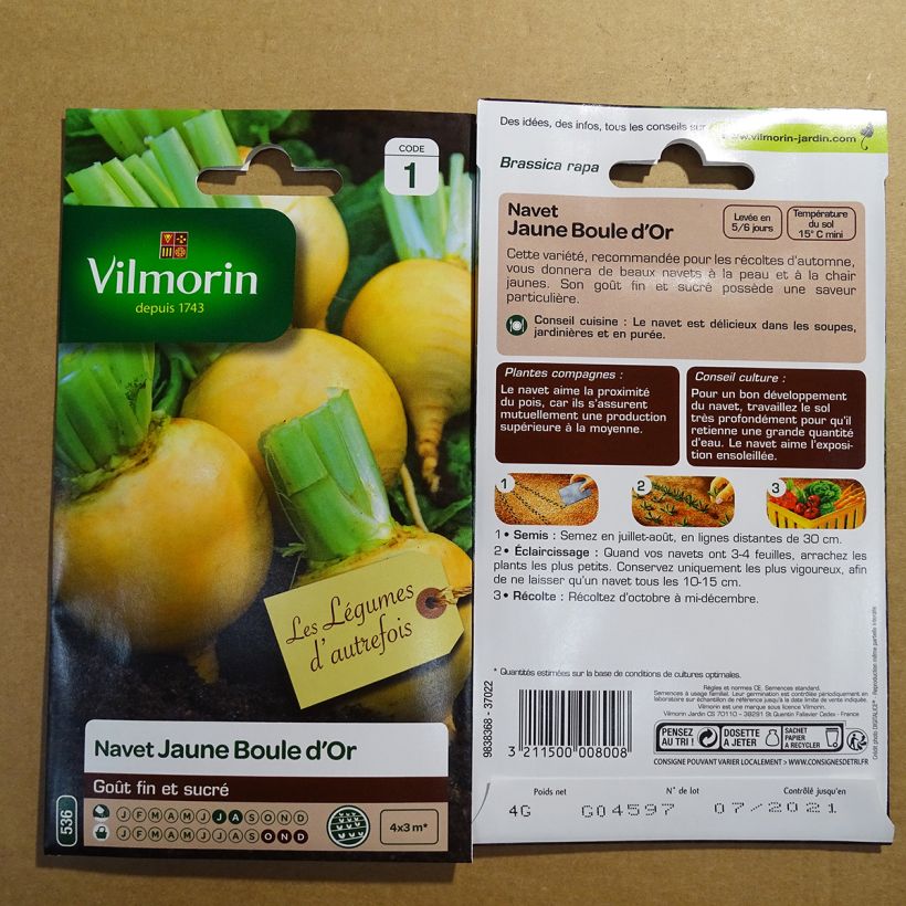 Exemple de spécimen de Navet jaune Boule d'Or - Vilmorin - Brassica rapa le sachet de 1600 graines environ (4g) tel que livré