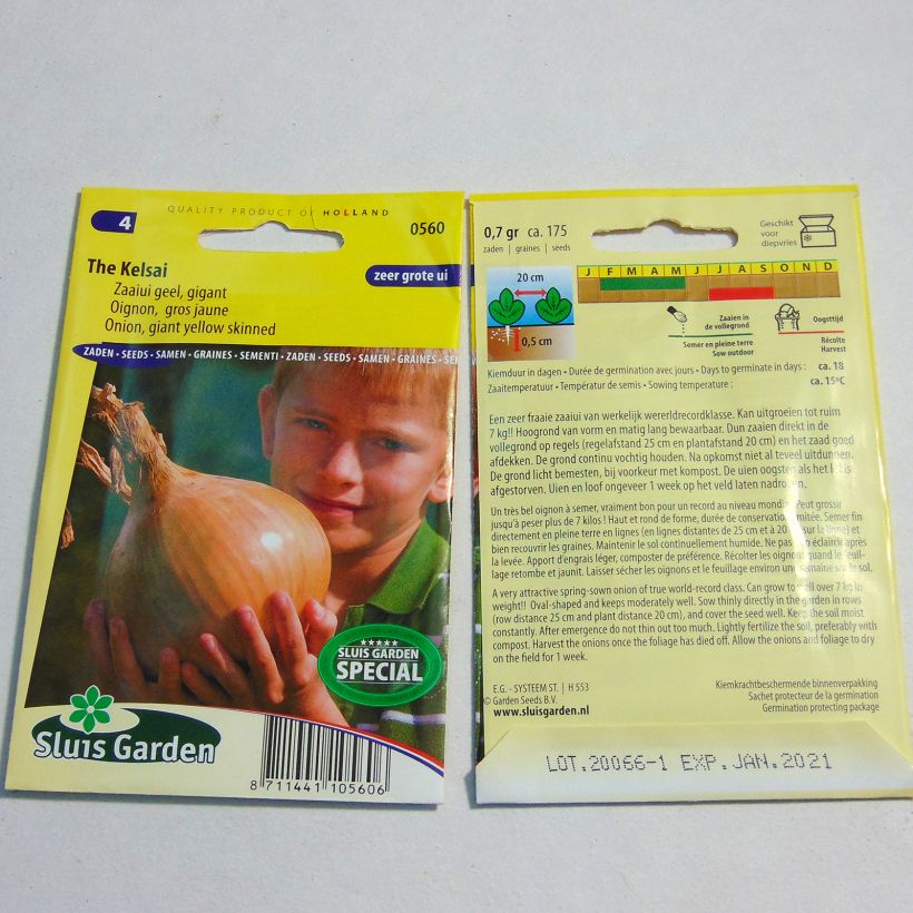 Exemple de spécimen de Oignon The Kelsae - Allium cepa le sachet de 175 graines environ tel que livré