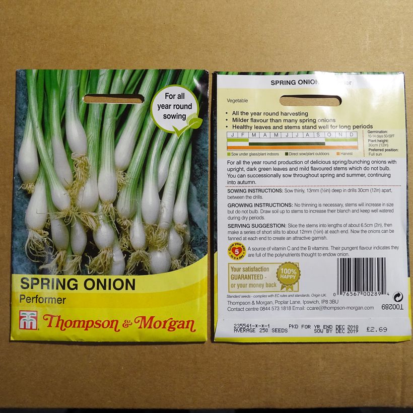 Example of Oignon de printemps ciboule Performer - Allium fistulosum le sachet de 300 graines environ as you get