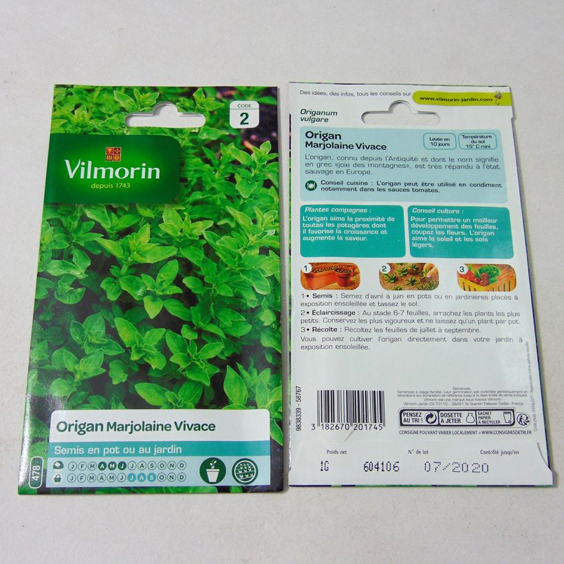 Example of Origan - Marjolaine vivace - Vilmorin le sachet de 12000 graines environ (1g) as you get