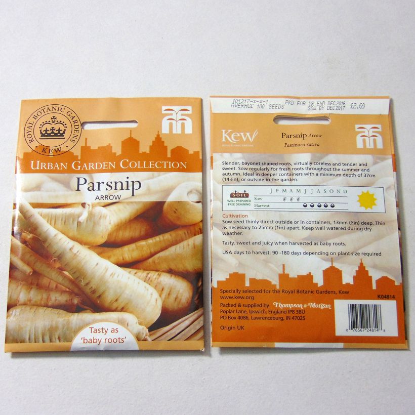 Exemple de spécimen de Panais Arrow - Pastinaca sativa le sachet de 100 graines environ tel que livré