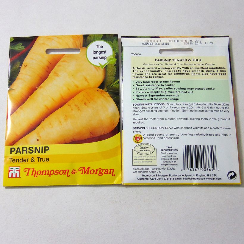 Example of Panais Tender And True - Pastinaca sativa le sachet de 550 graines environ as you get