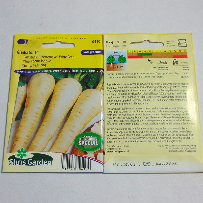 Exemple de spécimen de Panais demi-long Gladiator F1 - Pastinaca sativa - grand chervis - pastenade - patenais le sachet de 110 graines environ tel que livré