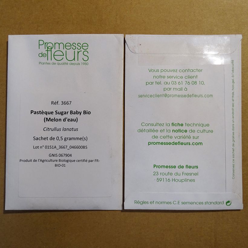 Exemple de spécimen de Pastèque Sugar Baby Bio (Melon d'eau) - Citrullus lanatus le sachet de 20 graines environ (1g) tel que livré