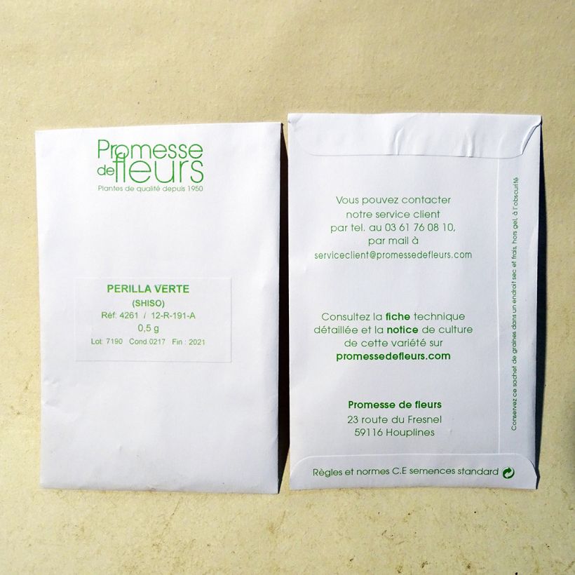 Exemple de spécimen de Perilla frutescens vert - Shiso (Tia To) le sachet de +/- 350 graines environ (minimum 0,5g) tel que livré