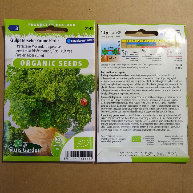 Exemple de spécimen de Persil frisé Grüne Perle Bio le sachet de 1200 graines environ (2g) tel que livré