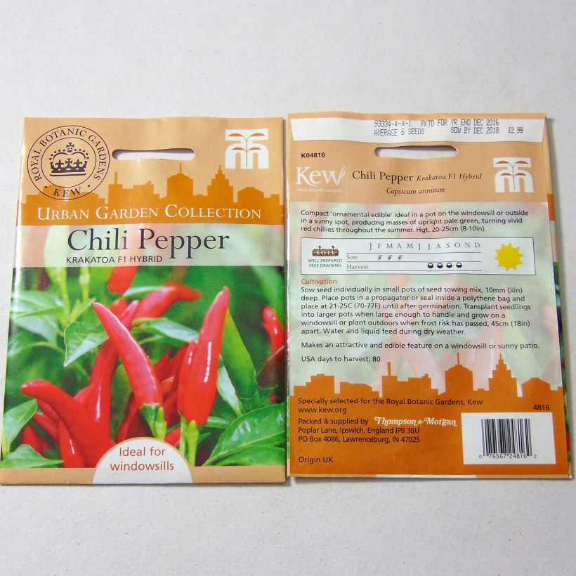Example of Piment Krakatoa - Capsicum annuum le sachet de 6 graines environ as you get