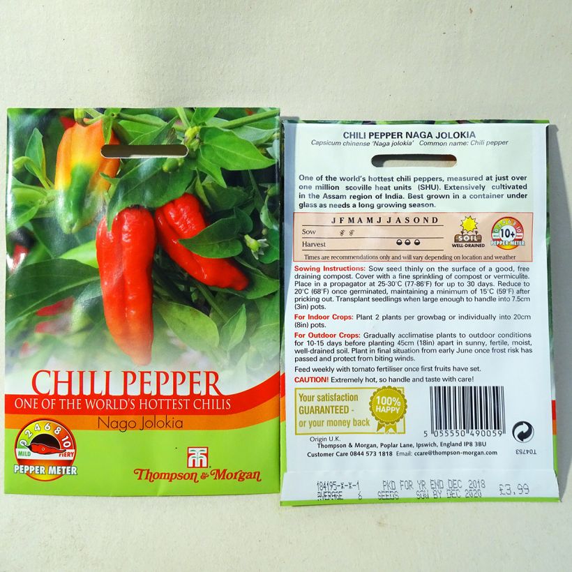 Exemple de spécimen de Piment Naga Jolokia - Capsicum annuum le sachet de 6 graines environ tel que livré