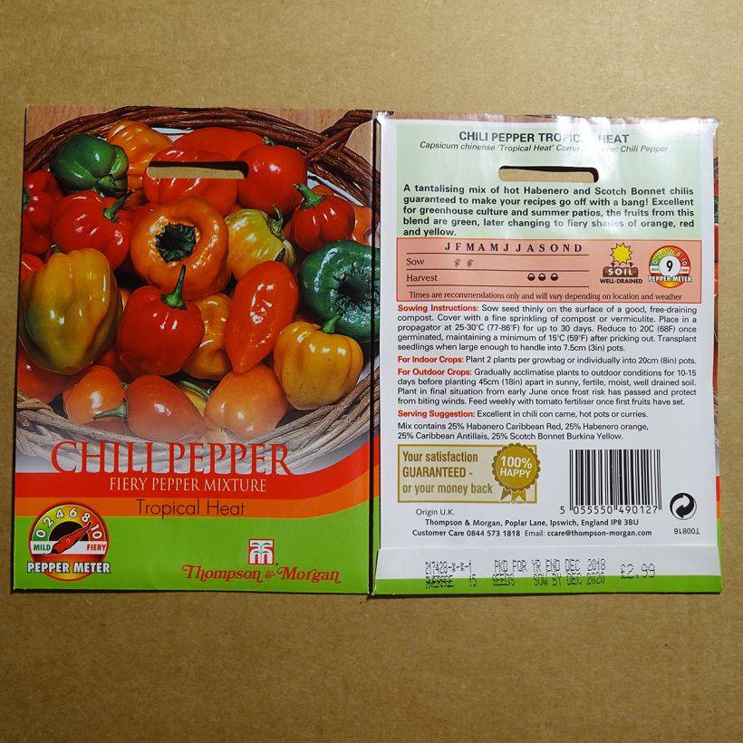 Exemple de spécimen de Piment Tropical Heat - Capsicum annuum le sachet de 20 graines environ tel que livré