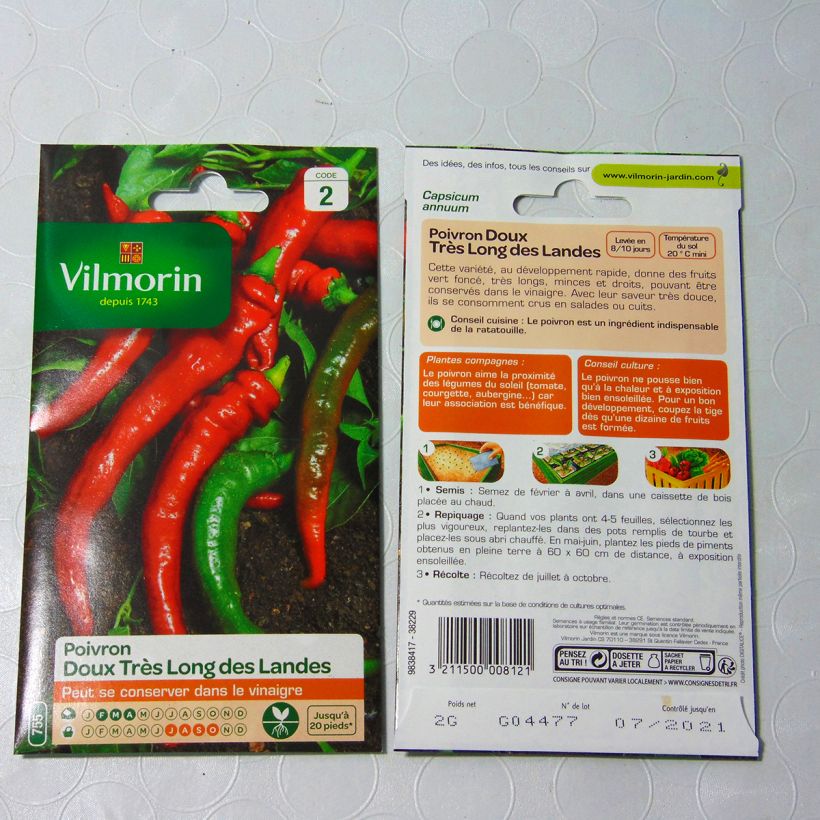 Exemple de spécimen de Piment doux très long des Landes - Poivron - Vilmorin le sachet de 240 graines environ (2g) tel que livré