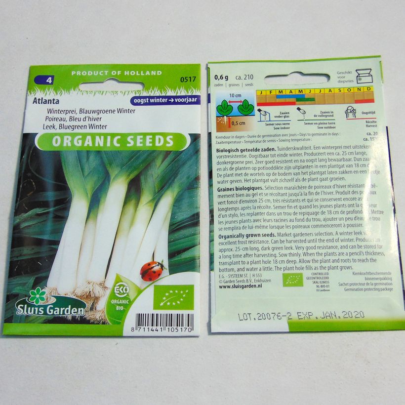 Example of Poireau Bleu d’hiver Atlanta Bio - Allium porrum le sachet de 210 graines environ as you get