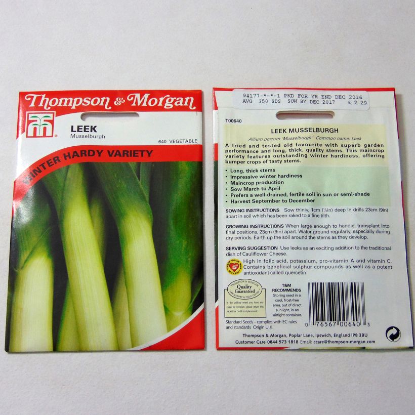 Exemple de spécimen de Poireau Musselburgh le sachet de 350 graines environ tel que livré