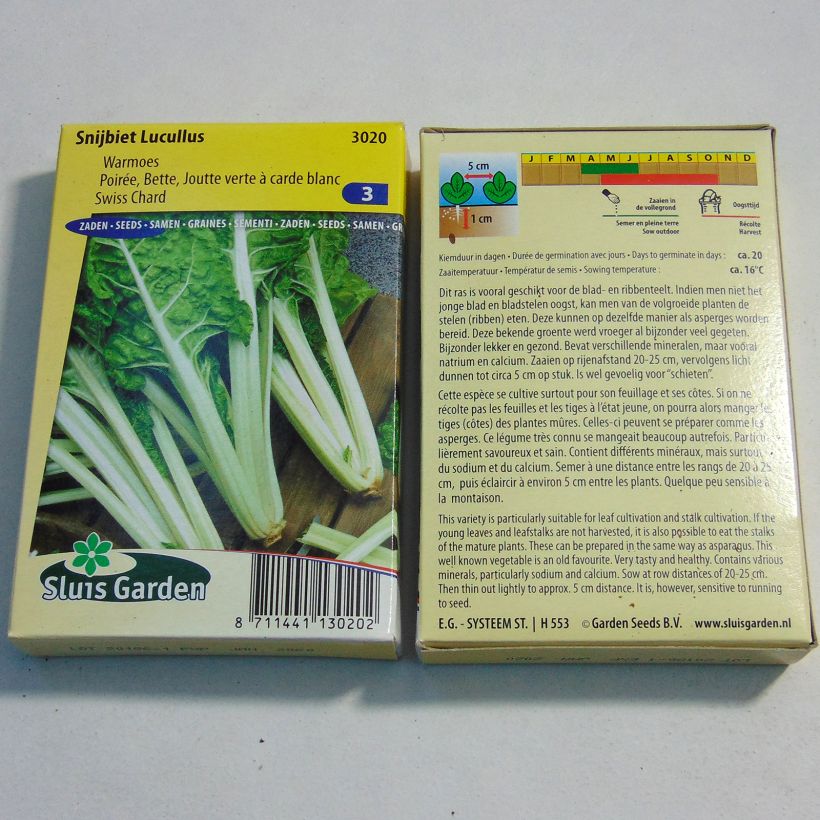 Exemple de spécimen de Poirée verte à carde blanche Lucullus - Blette - Beta vulgaris le sachet de 150 graines environ (4g) tel que livré