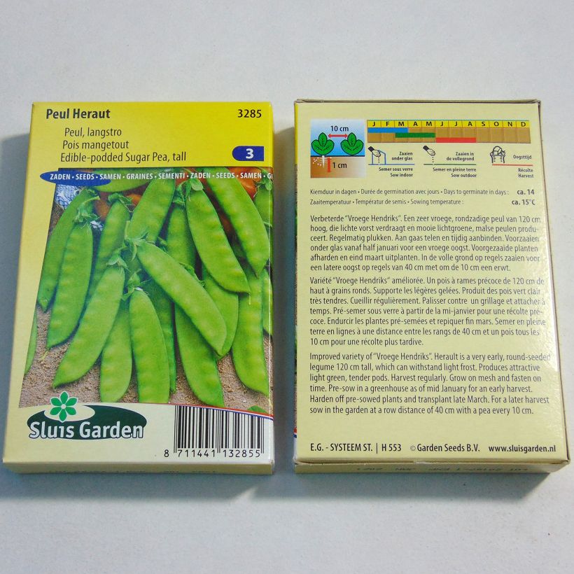 Exemple de spécimen de Pois à rames Héraut mangetout - Pisum sativum le sachet de 250-300 graines environ (100g) tel que livré