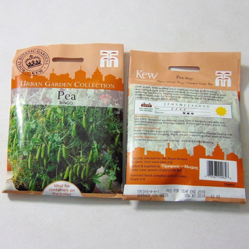 Exemple de spécimen de Pois demi-ramant Bingo le sachet de 100 graines environ tel que livré