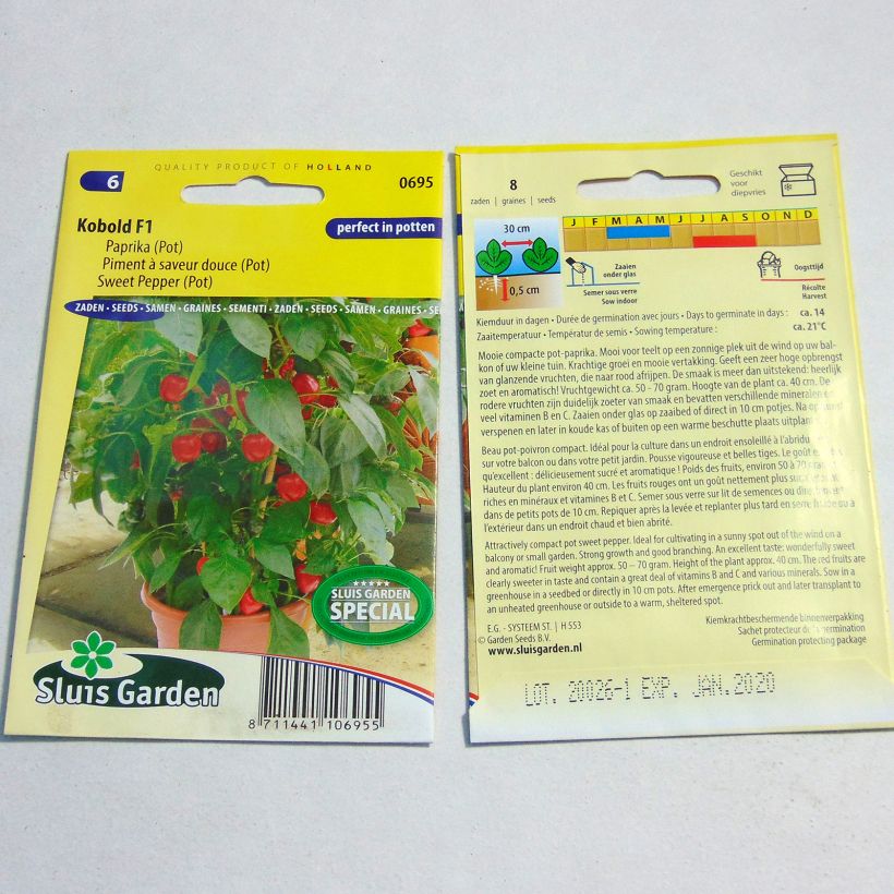 Exemple de spécimen de Poivron Kobold F1 - Piment à saveur douce le sachet de 8 graines environ tel que livré