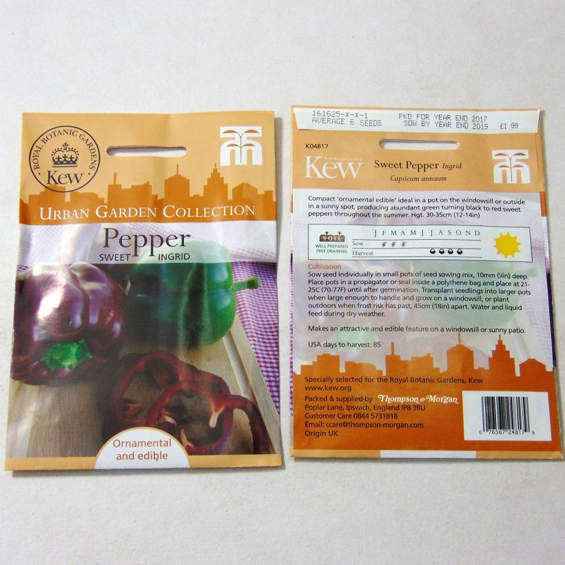 Exemple de spécimen de Poivron Sweet Ingrid - Capsicum annuum le sachet de 6 graines environ tel que livré