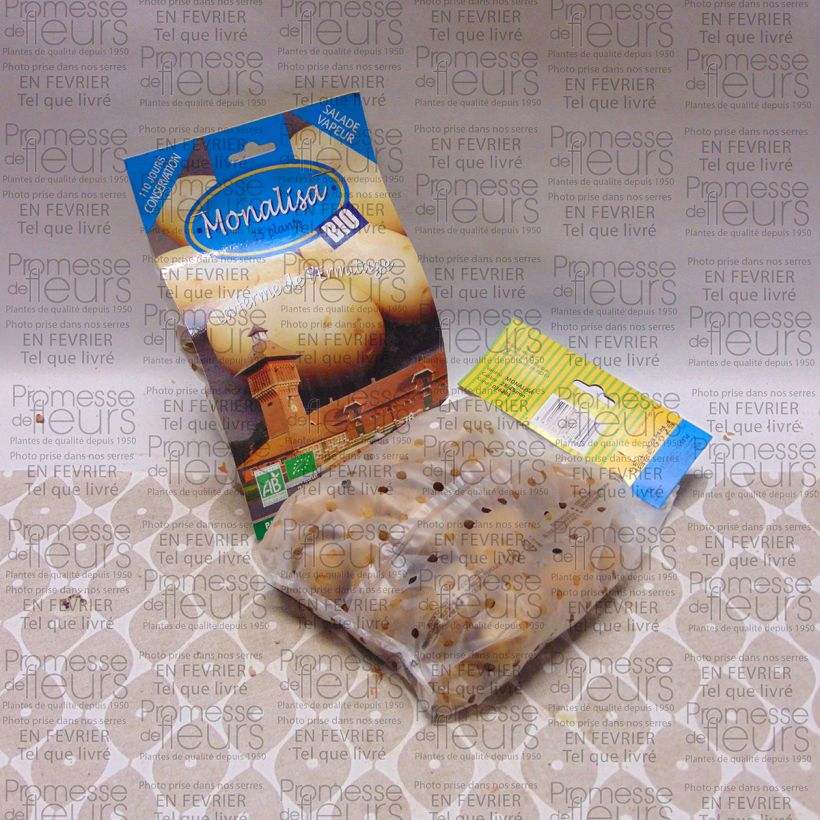 Exemple de spécimen de Pommes de terre Mona Lisa Bio - Solanum tuberosum Sac de 25 plants calibre 28/45 mm tel que livré