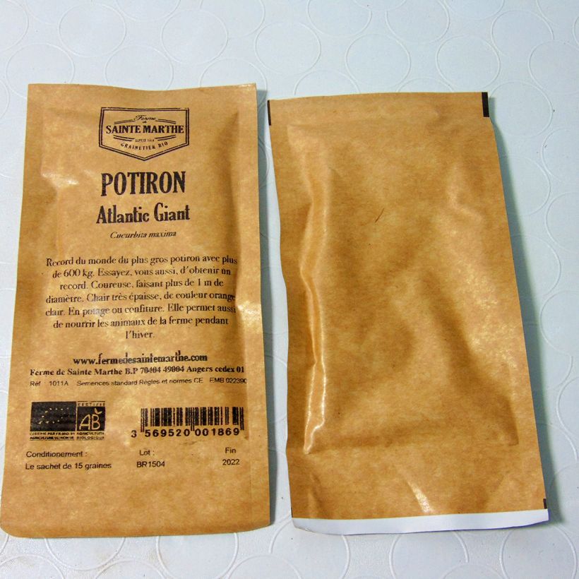 Exemple de spécimen de Potiron Atlantic Giant Bio - Courge Gargantua - Ferme de Sainte Marthe le sachet de 10 graines environ (4g) tel que livré