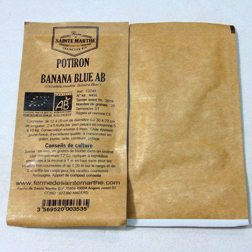 Exemple de spécimen de Potiron Banana Blue Bio - Ferme de Sainte Marthe le sachet de 20 graines environ (5g) tel que livré