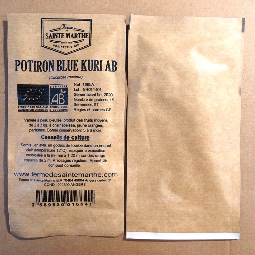 Exemple de spécimen de Potiron Blue Kuri Bio - Ferme de Sainte Marthe le sachet de 15 graines environ tel que livré