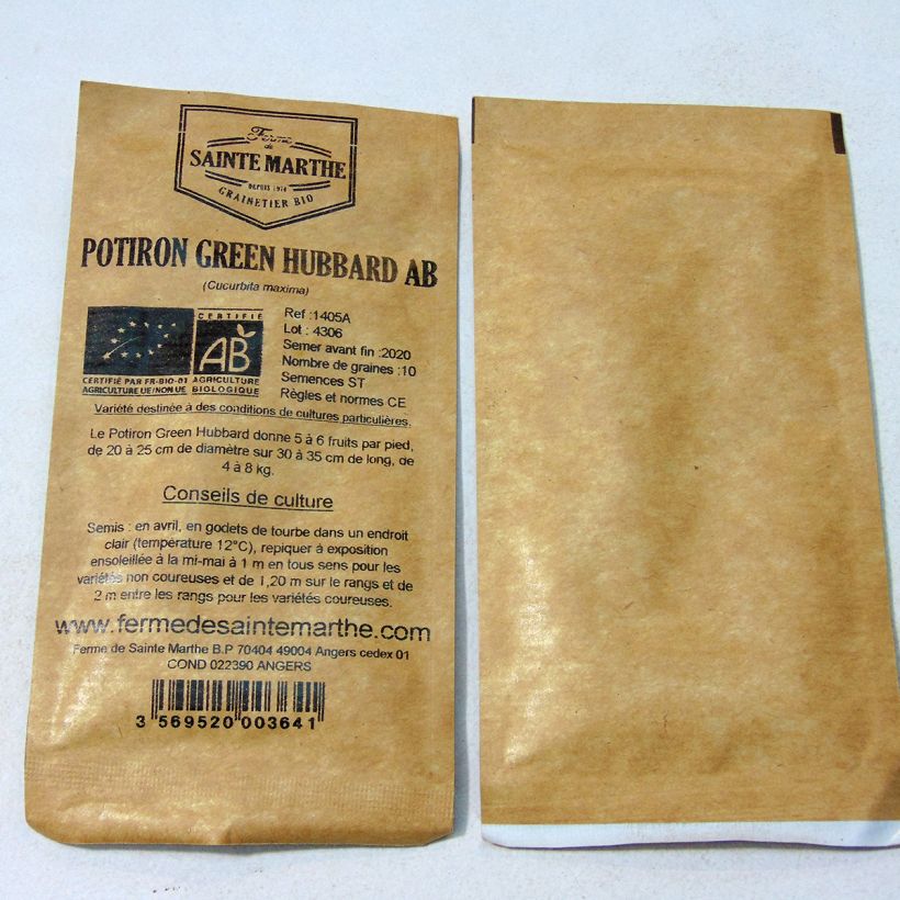 Exemple de spécimen de Potiron Green Hubbard Bio - Ferme de Sainte Marthe le sachet de 10 graines environ (2g) tel que livré