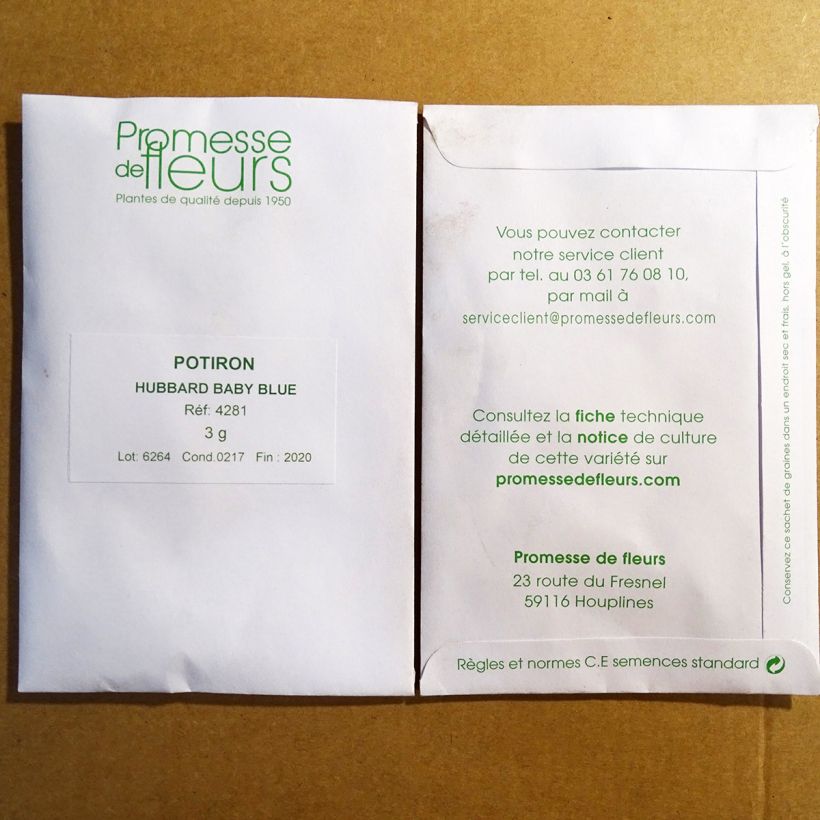 Exemple de spécimen de Potiron Hubbard Baby Blue - Cucurbita maxima le sachet de +/- 20 graines environ (minimum 3g) tel que livré