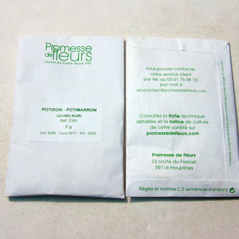 Exemple de spécimen de Potiron Potimarron Uchiki Kuri - Cucurbita maxima Kabocha le sachet de +/- 20 ? 25 graines environ (minimum 5g) tel que livré