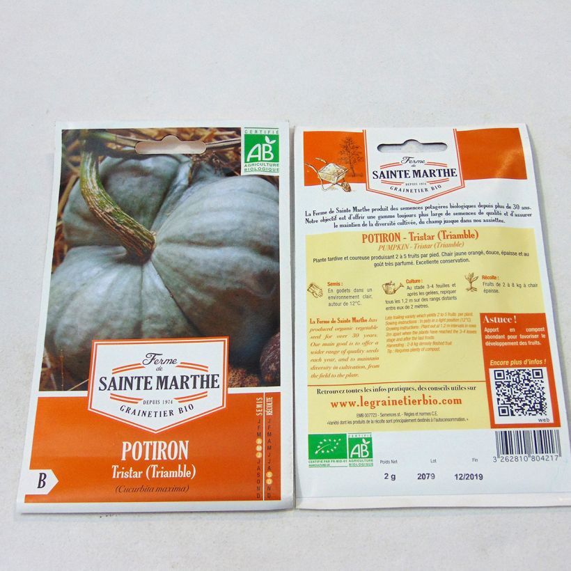 Exemple de spécimen de Potiron Tristar (Triamble) Bio - Ferme de Sainte Marthe le sachet de 15 graines environ tel que livré