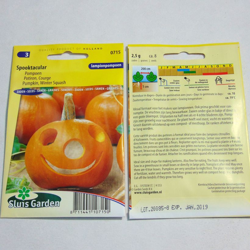 Exemple de spécimen de Potiron d'Halloween Spooktacular - Courge - Cucurbita pepo le sachet de 8 graines environ (2g) tel que livré