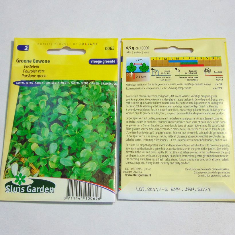 Exemple de spécimen de Pourpier vert - Portulaca oleracea le sachet de 10000 graines environ (4g) tel que livré