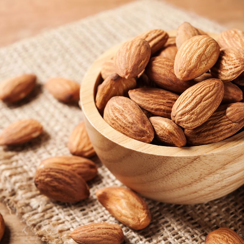 Amandier Desmayo Largueta (Récolte)