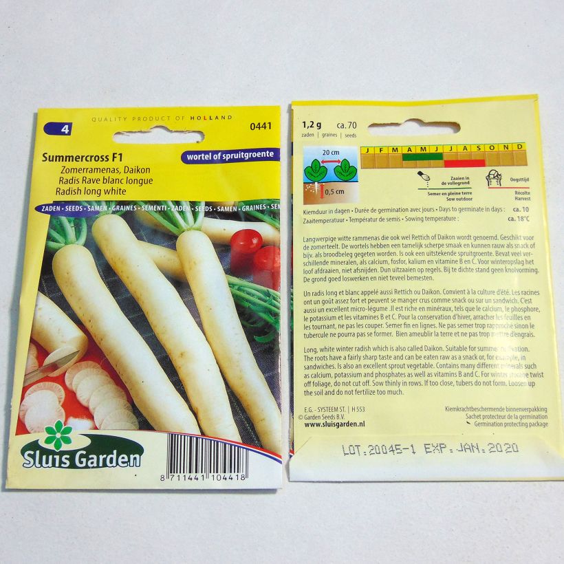 Exemple de spécimen de Radis Rave blanc Summercross F1 - Daïkon - Raphanus sativus var. longipinnatus le sachet de 75 graines environ (1g) tel que livré