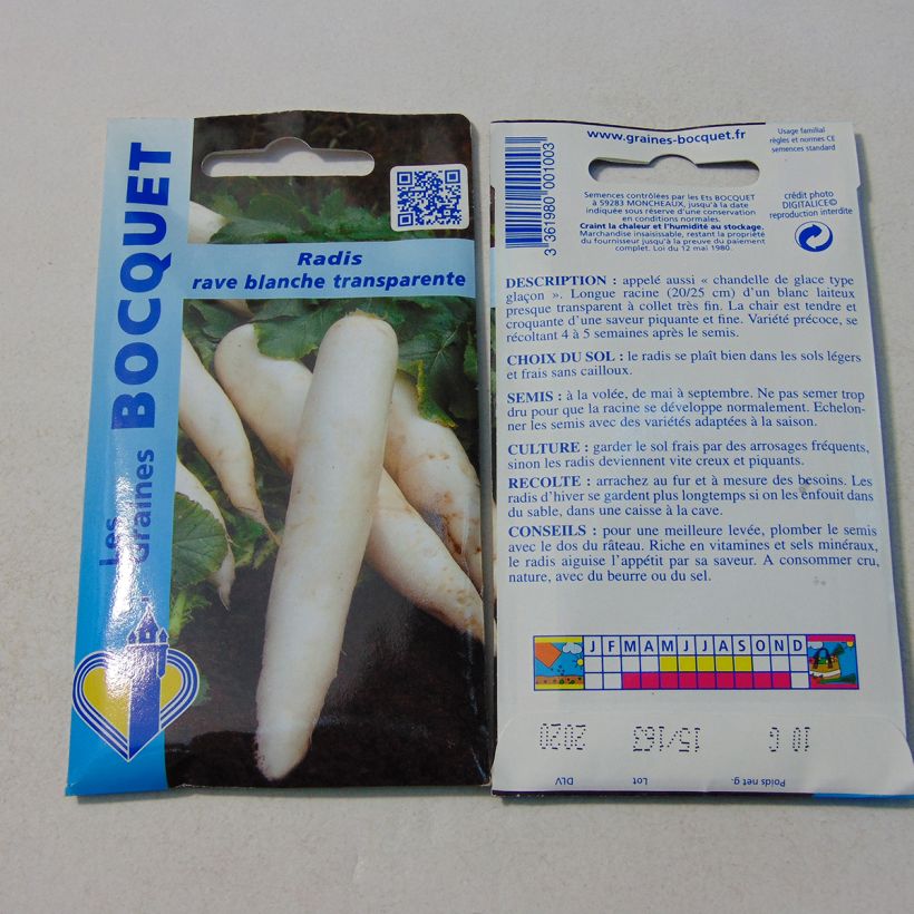 Exemple de spécimen de Radis Rave blanche transparente - Raphanus sativus le sachet de 800 graines environ (10g) tel que livré