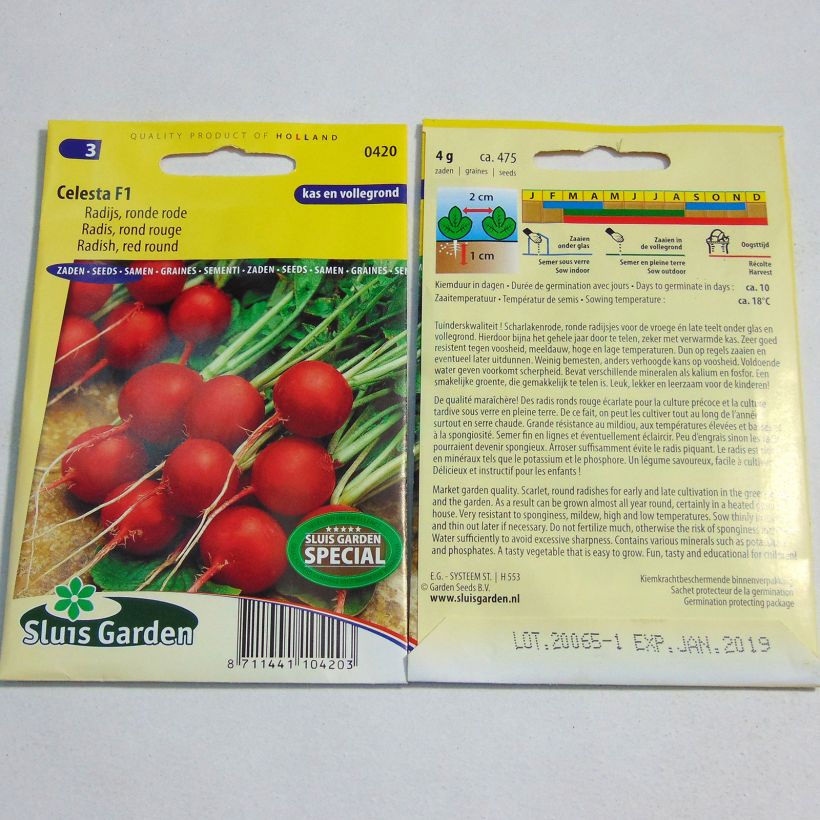 Exemple de spécimen de Radis Rond rouge Celesta F1 - Raphanus sativus le sachet de 475 graines environ (4g) tel que livré