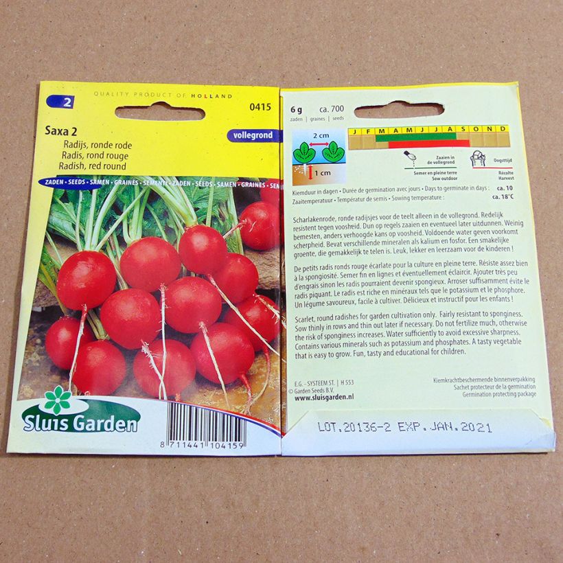 Exemple de spécimen de Radis Rond rouge Saxa 2 - Raphanus sativus le sachet de 700 graines environ (6g) tel que livré