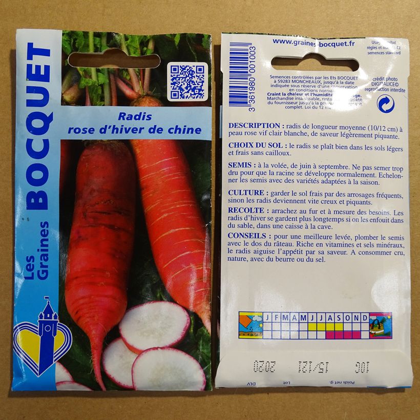 Exemple de spécimen de Radis Rose d'hiver de Chine - Raphanus sativus le sachet de 800 graines environ (10g) tel que livré