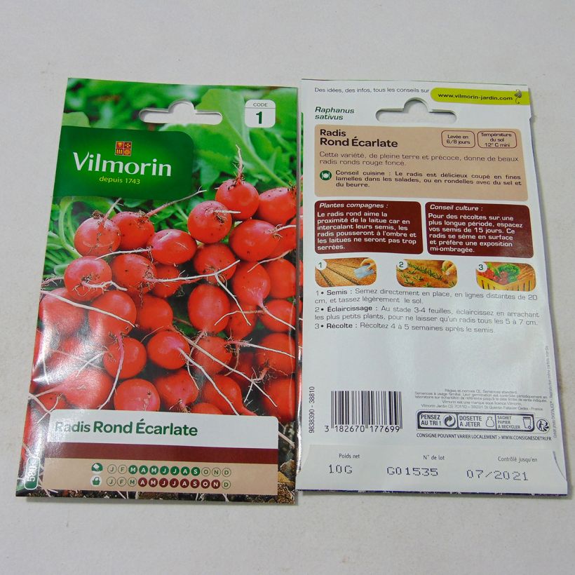 Exemple de spécimen de Radis rond écarlate - Vilmorin le sachet de 800 graines environ (10g) tel que livré