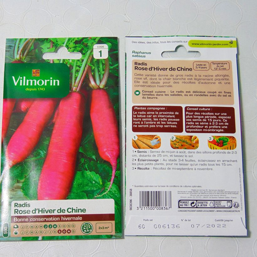 Exemple de spécimen de Radis rose d'hiver de Chine - Vilmorin le sachet de 480 graines environ (6g) tel que livré