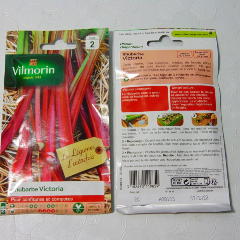Exemple de spécimen de Rhubarbe Victoria - Vilmorin le sachet de 80 graines environ (2g) tel que livré