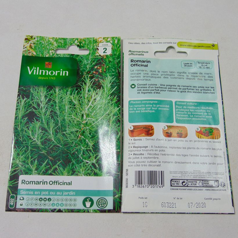 Exemple de spécimen de Romarin officinal - Vilmorin le sachet de graines de 1 grammes tel que livré